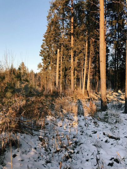 Участок 28,7 сот. (ИЖС)