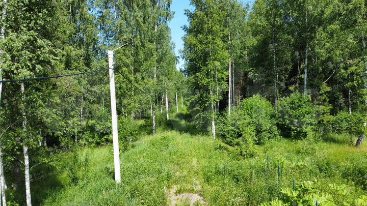 Участок 654,66 га (СНТ, ДНП)