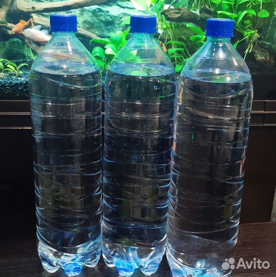 Сайдекс (cidex), хелена, корм