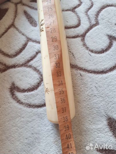 Копия клык бивень моржа