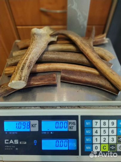 Рога оленя для собак