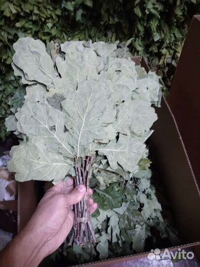 Комплект 40 дубовых веникв для бани