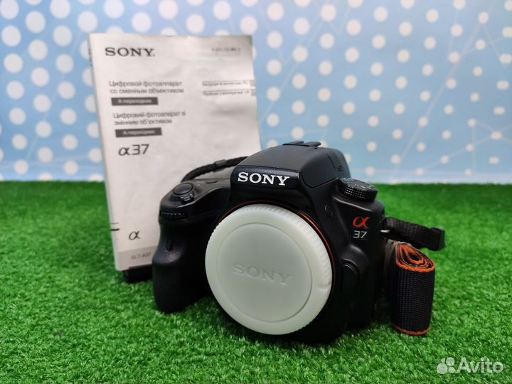 Фотоаппарат Sony A37