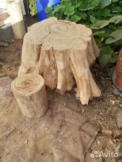 Дубовый пенек