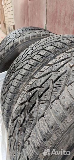 Tigar Ice 215/65 R16 102T