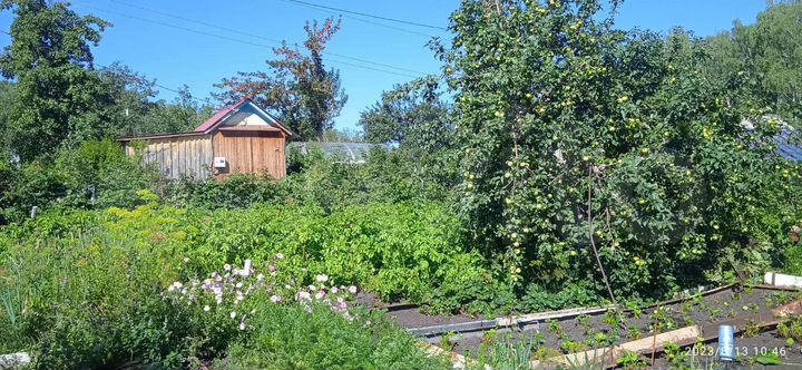 Дача 15 м² на участке 4 сот.