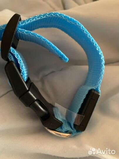 Ошейник для котов