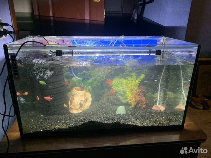 Аквариум с рыбками