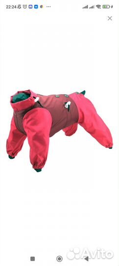 Новый комбинезон для собаки, девочки 50