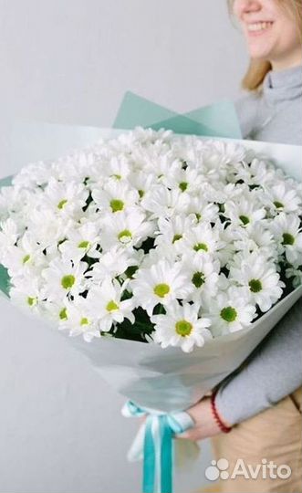 Хризантема Доставка цветов Букеты