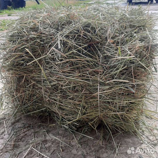 Сено луговое в тюках
