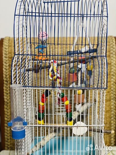 Клетка для попугая