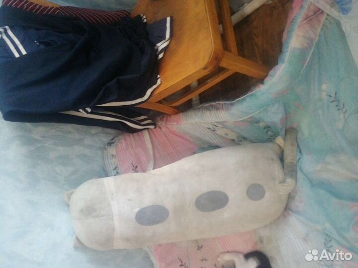 Плюшевый кот