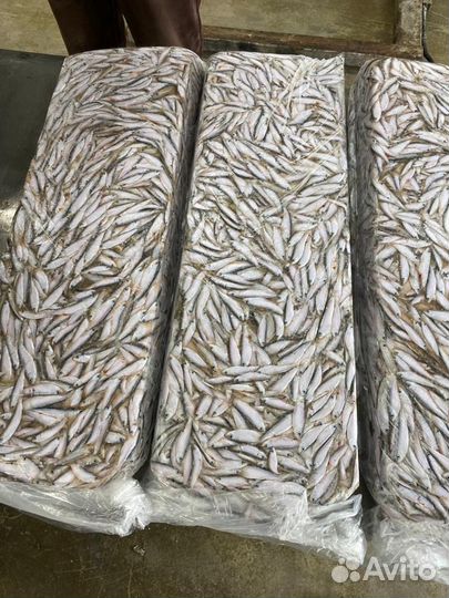 Свежая рыба тюлька мороженая