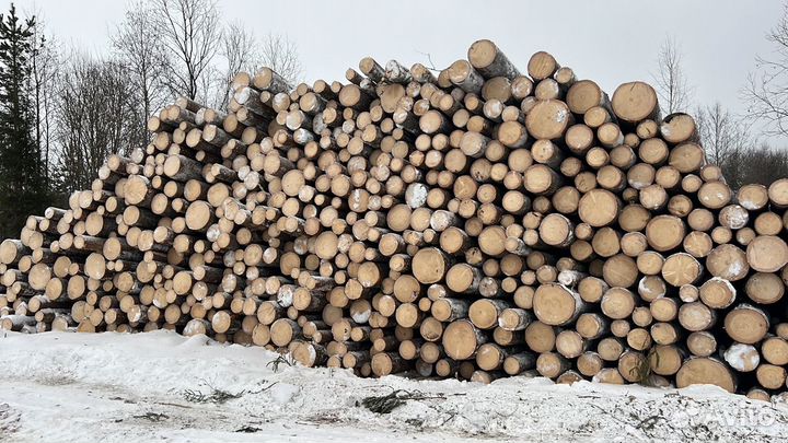 Продам лес кругляк пиловочник хвойный