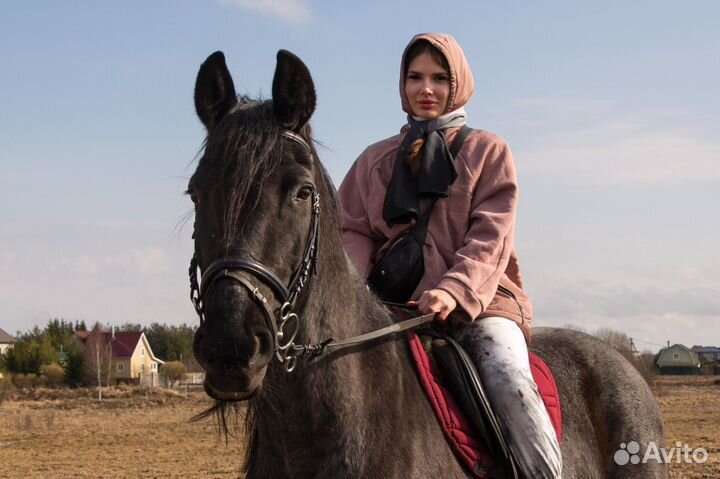 Прогулки на лошадях