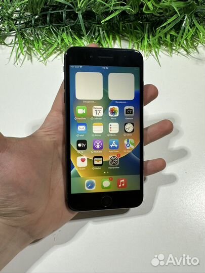 iPhone 8 Plus, 256 ГБ