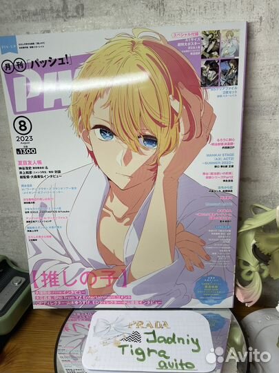 Pash 2023 Aug Natsume Aqua Hoshino