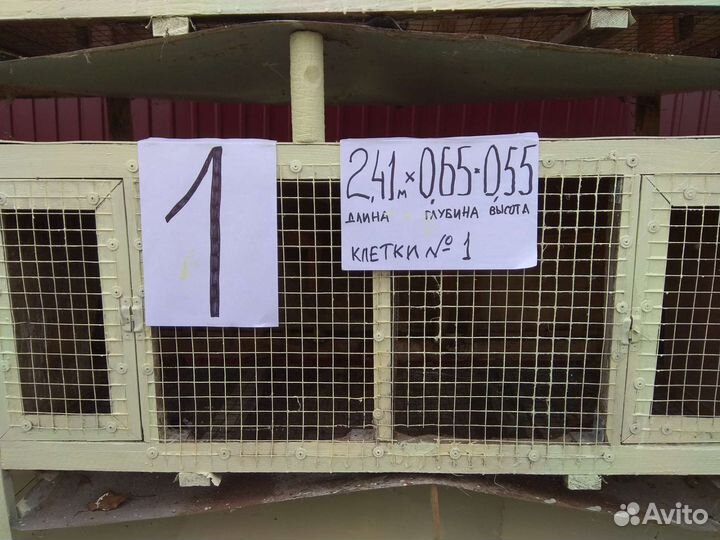 Клетки для кроликов