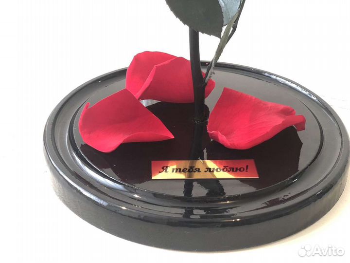 Роза в колбе