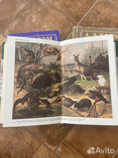 Энциклопедия Жизнь животных А. Э. Брэм 3 тома