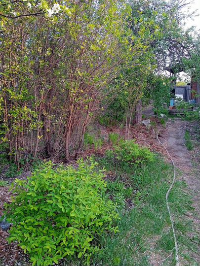 Дача 39 м² на участке 6 сот.