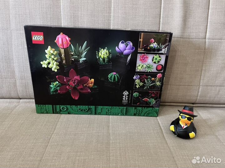 Lego 10309 - Суккуленты