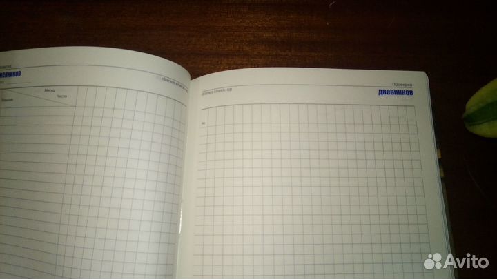 Ежедневник Учителя