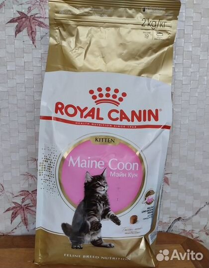 Корм для котят Royal Canin kitten Maine Coon
