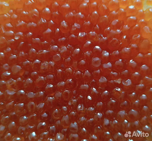 Икра, форель, сёмга