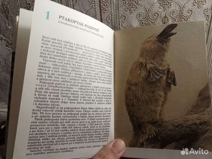 Атлас животных на чешском языке