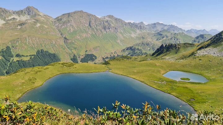 Экскурсии, индивидуальные туры в Абхазию