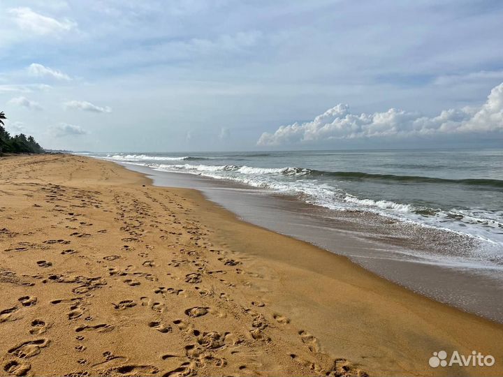 Шри-Ланка из Москвы