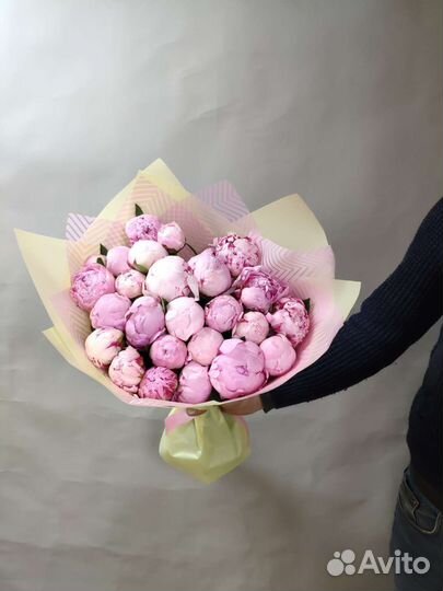 Пионы голландский