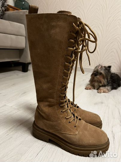 Сапоги tendance 38 р