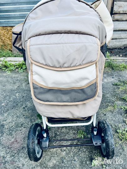 Коляска-трансформер Alis amelia