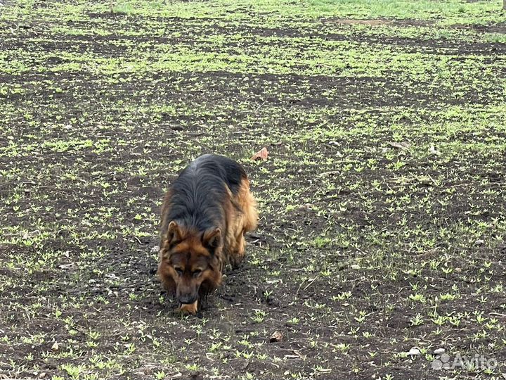 Вязка кабель