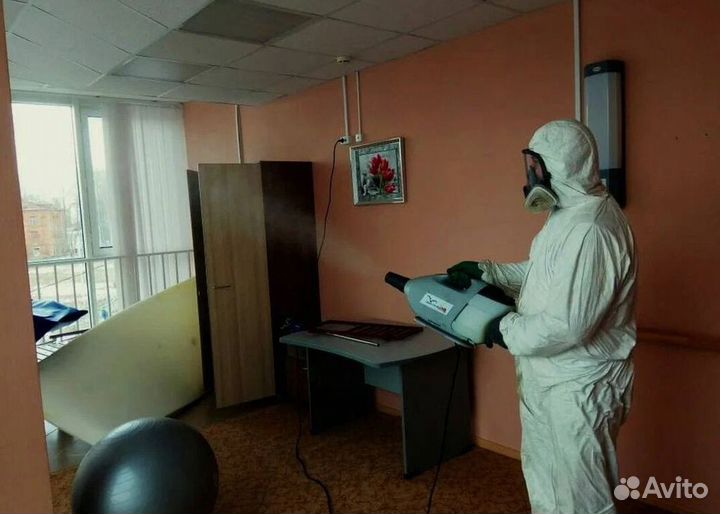 Средство для Уничтожения клопов тараканов плесени клещей