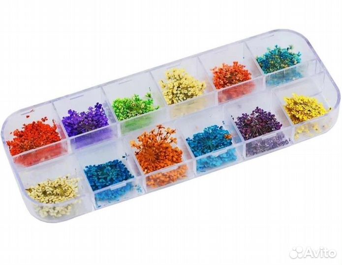 Сухоцветы для дизайна ногтей