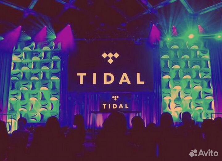 Tidal Hi-Fi Plus 3 месяца EUR