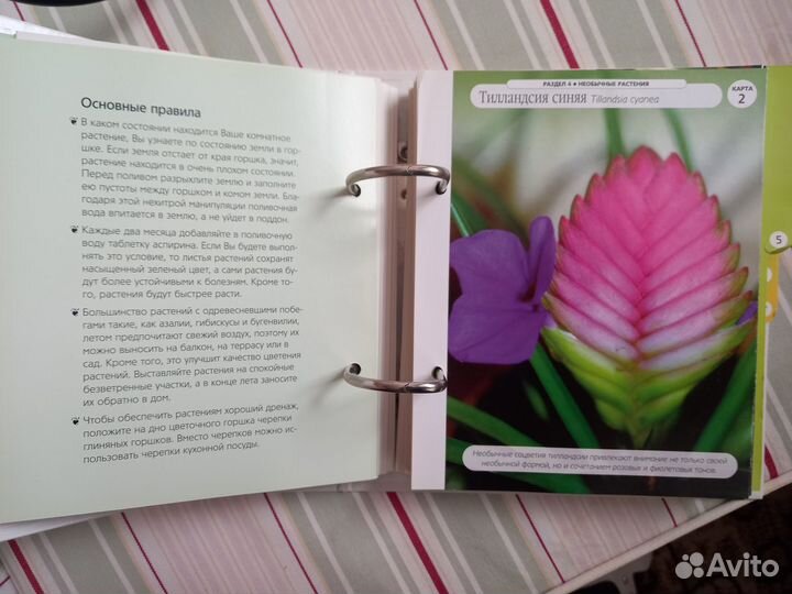 Журнал-книга. Цветы дома. Шаг за шагом