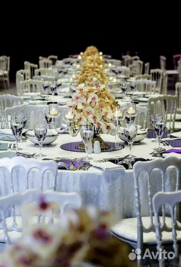 Стулья Кьявари