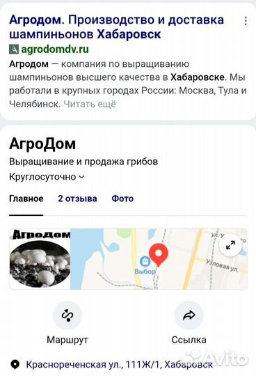 Шампиньон Грибы