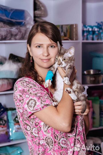 Ветеринарный врач