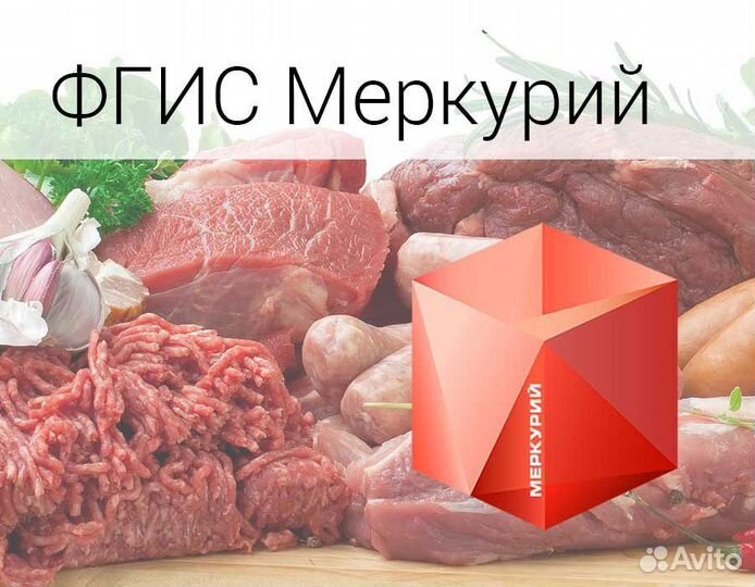 Фгис Меркурий,Аттестованный ветеринарный врач