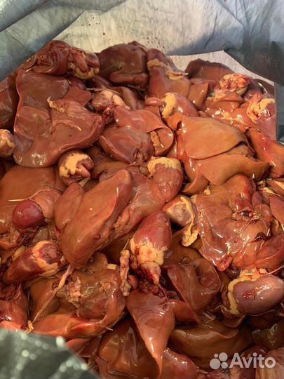 Домашние потроха курицы