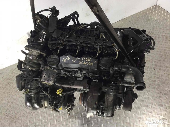 Двигатель Ford Focus, 2012, диз. 1.6, G8DD