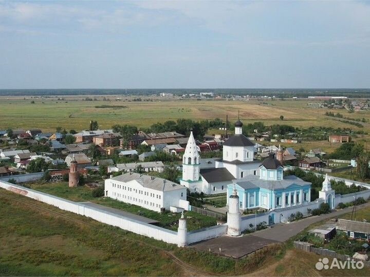 Коломна Топ-Экскурсия Чудотворный Бобренев монасты