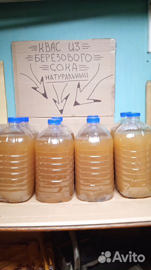 Квас из березового сока