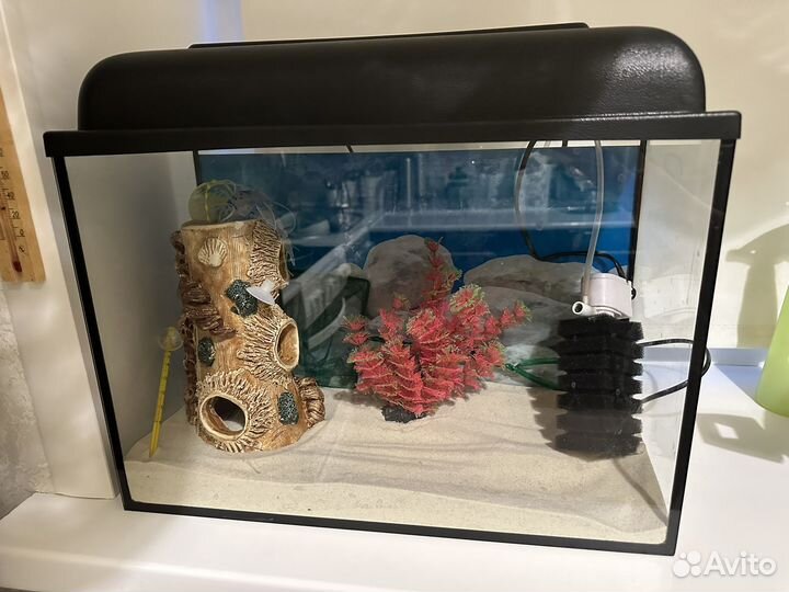 Аквариум